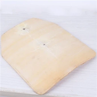 Kevlar Bulletproof Plate